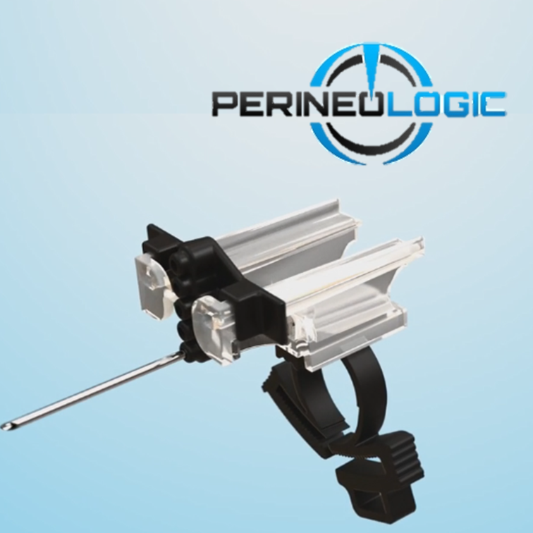 Perineologic Precision Point Prostate Biopsy